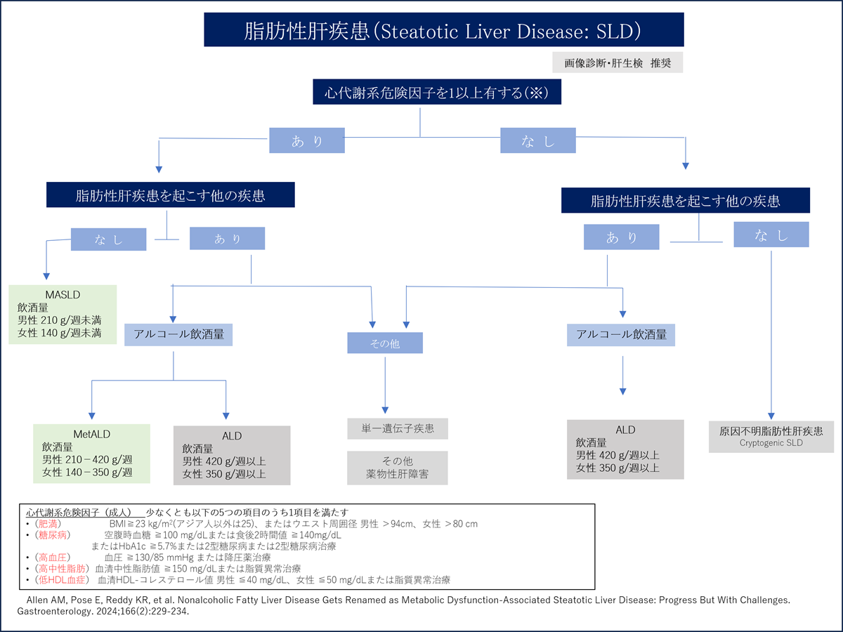 脂肪性肝疾患の詳細判定フロー